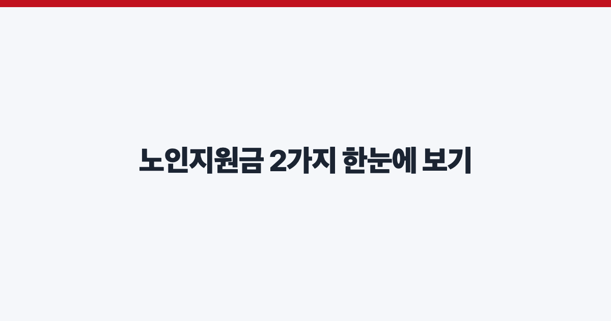 노인지원금 2가지 한눈에 보기