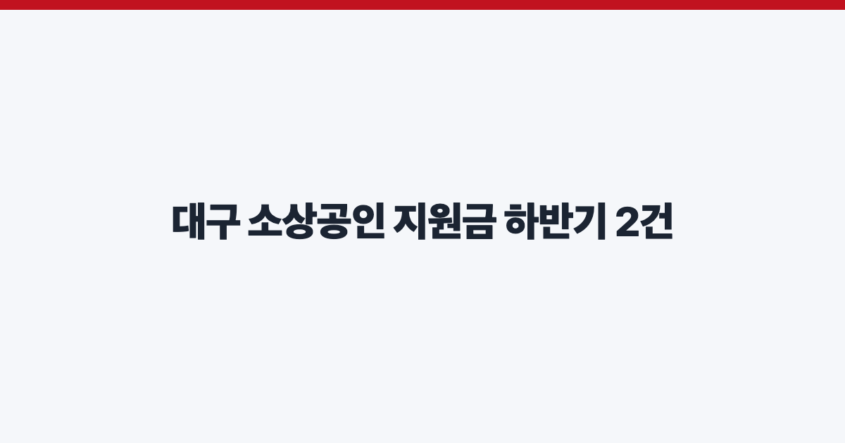 대구 소상공인 지원금 하반기 2건