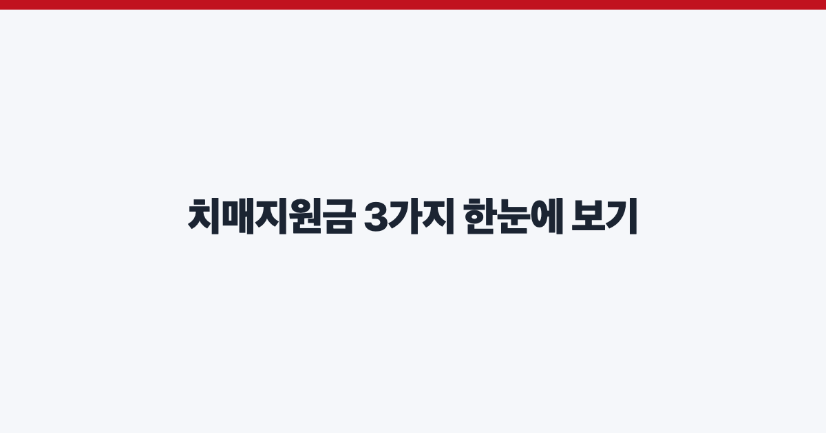 치매지원금 3가지 한눈에 보기