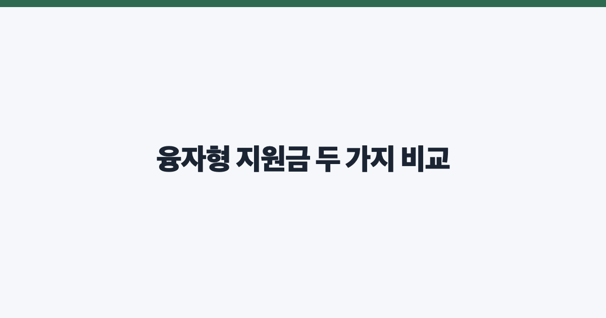 융자형 지원금 두 가지 비교