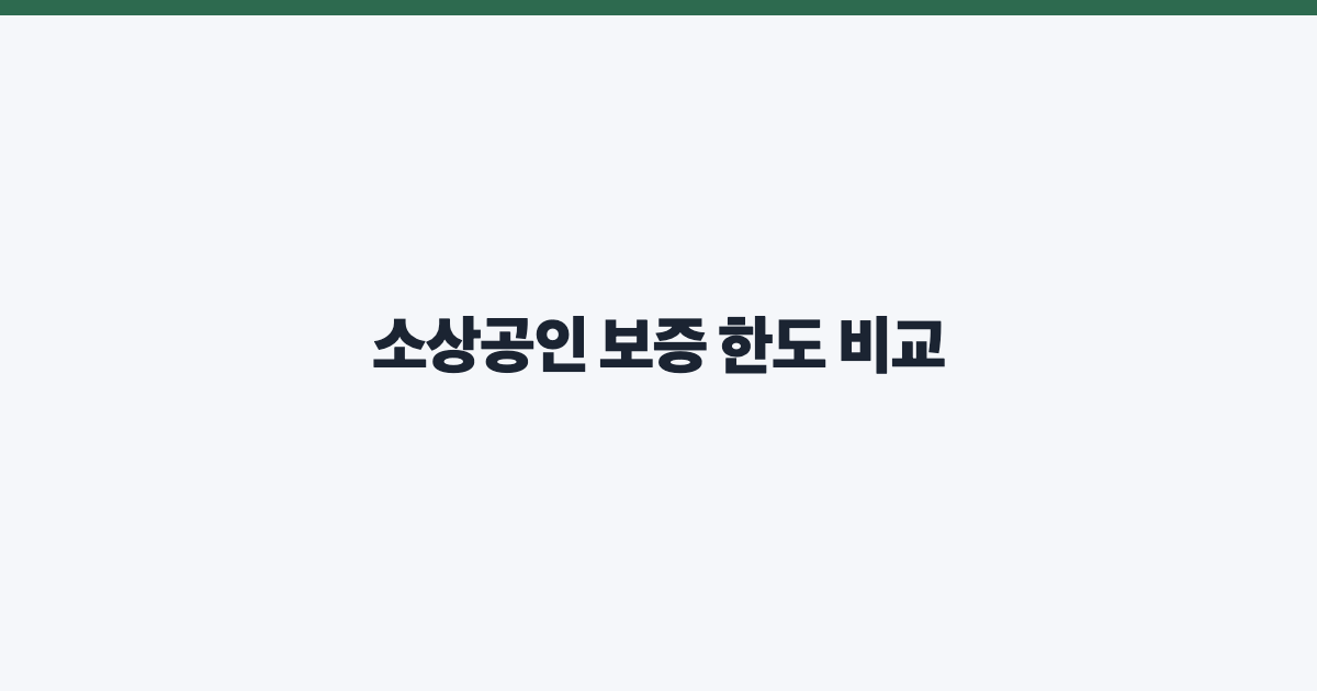 소상공인 보증 한도 비교