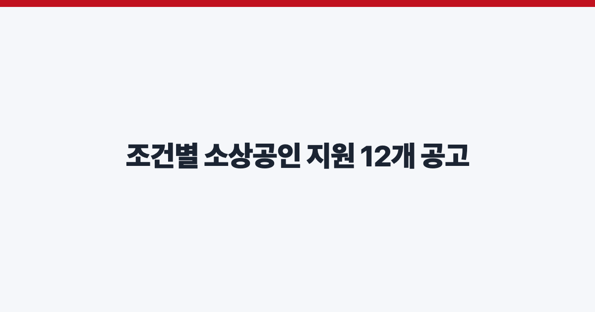 조건별 소상공인 지원 12개 공고