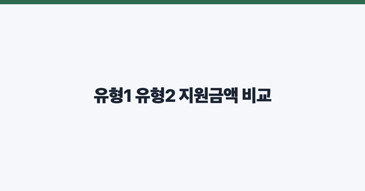 유형1 유형2 지원금액 비교